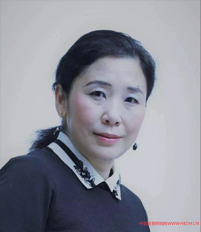 中国照协照明工程工作委员会主任、同济大学教授郝洛西女士---中国智慧照明网