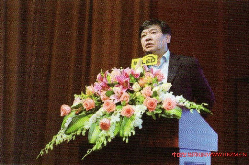 ▲中国照明学会秘书长窦林平作主题报告