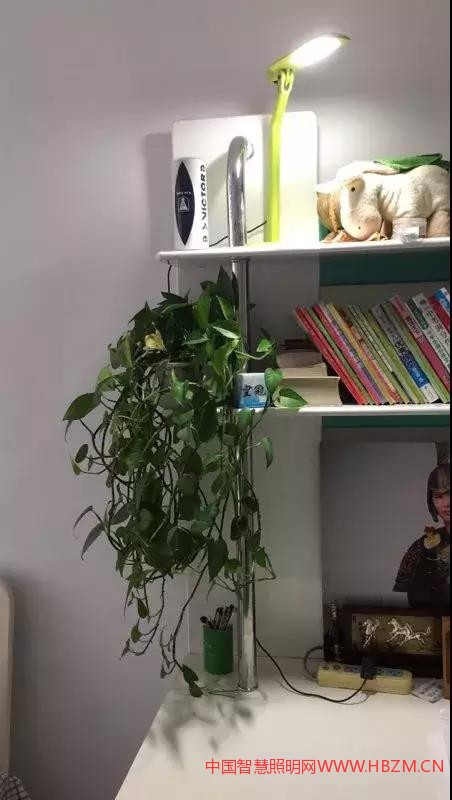 室内照明---中国智慧照明网