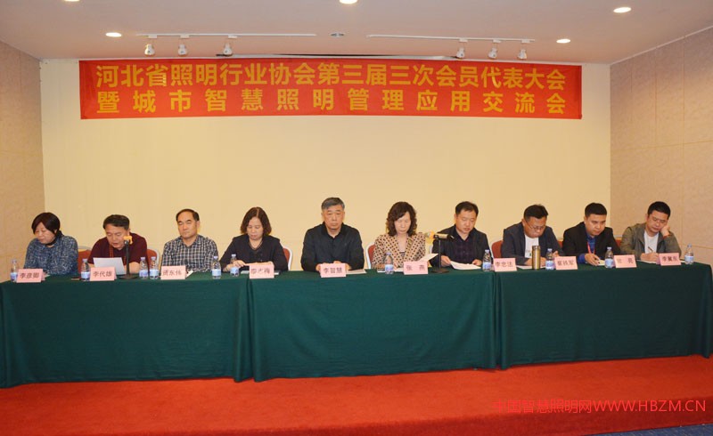 河北省照明行业协会第三届三次会员代表大会 暨城市智慧照明管理应用交流会主席台