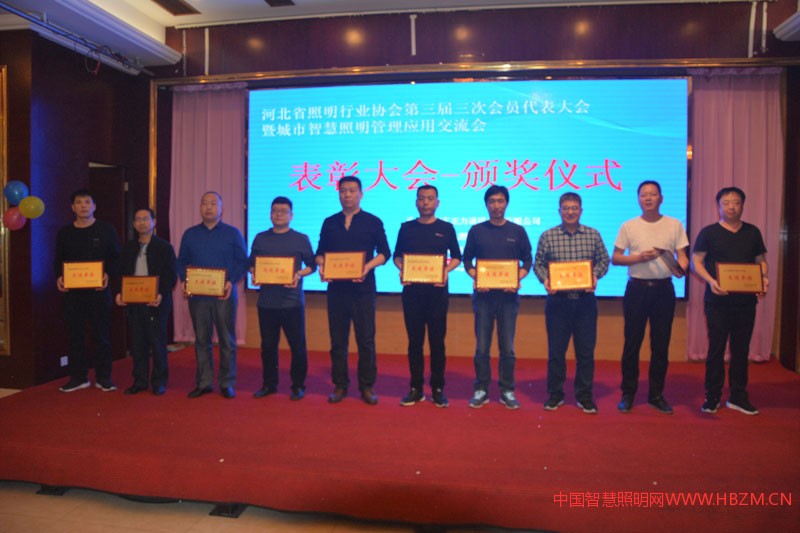 河北照明行业2018年度“先进单位”代表上台领奖