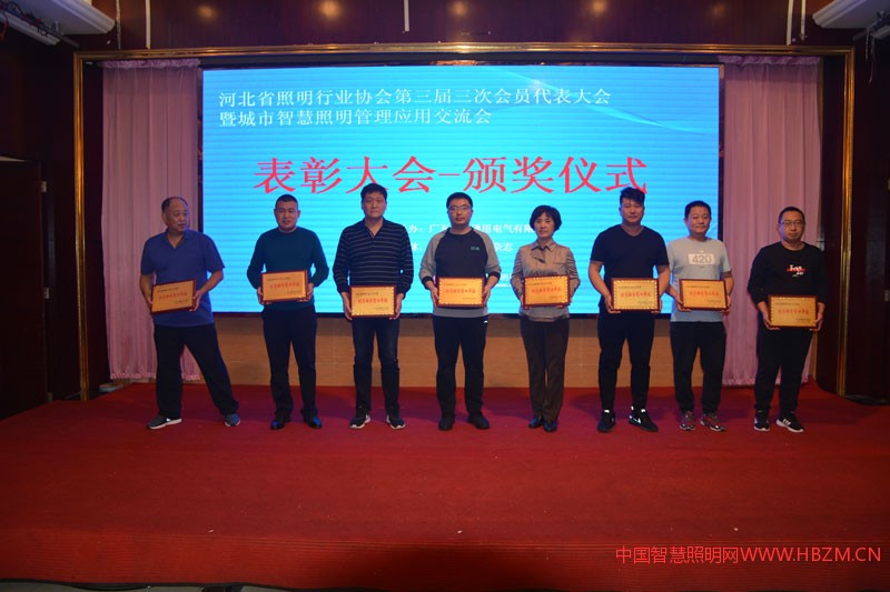 河北照明行业2018年度“优质服务窗口”代表上台领奖
