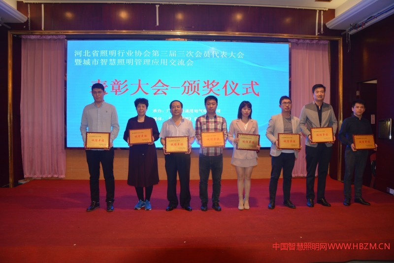 河北照明行业2018年度“诚信单位”代表上台领奖