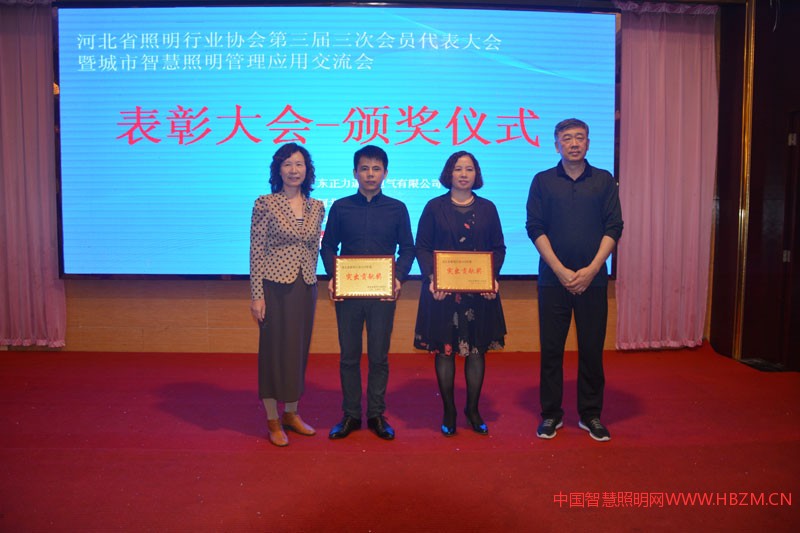 河北照明行业2018年度“突出贡献奖”代表上台领奖