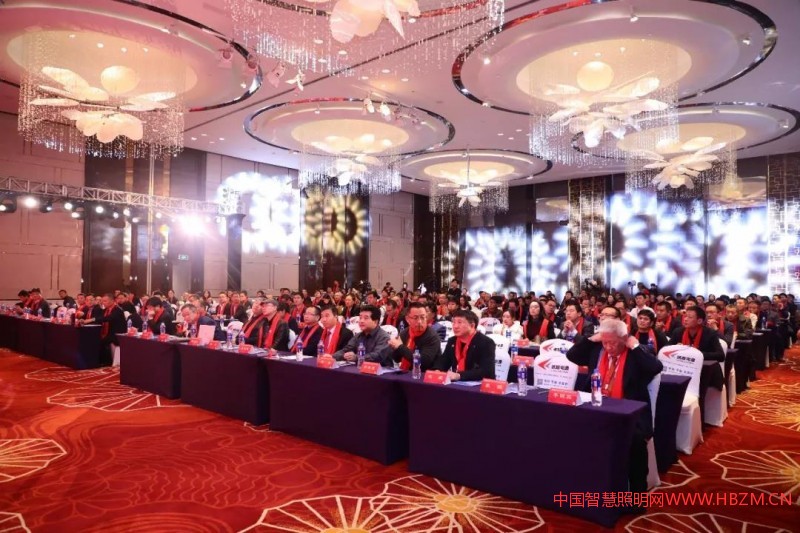 2018城市照明建设与夜游经济发展高峰论坛--中国智慧照明网