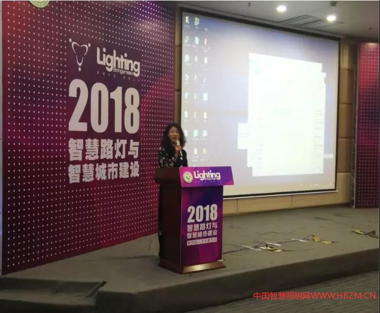 中国照明人网主编