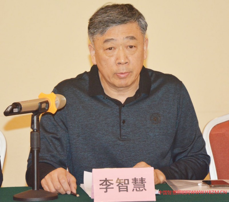 河北省照明行业协会会长 李智慧
