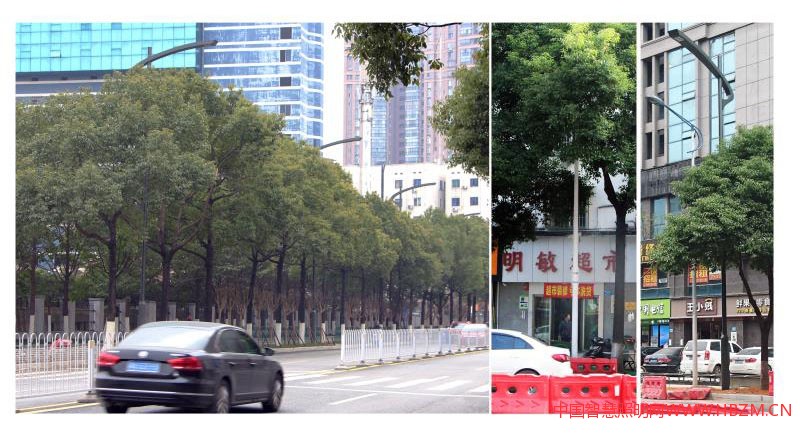 “展望”智慧共杆，将各种杆体集中到路灯一根灯杆上，提升了路口整洁美观程度