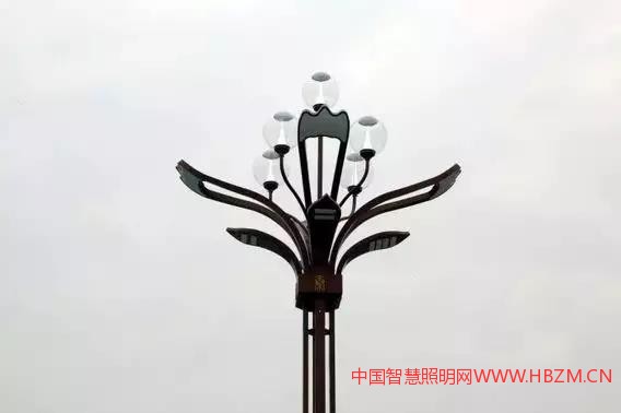 9、陕西渭南城区24套智慧路灯亮相