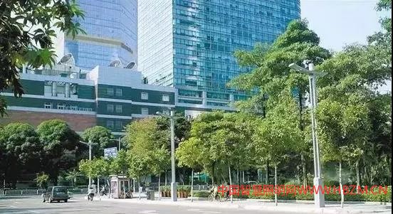 广州天河南二路的智慧灯杆具备16种强大功能