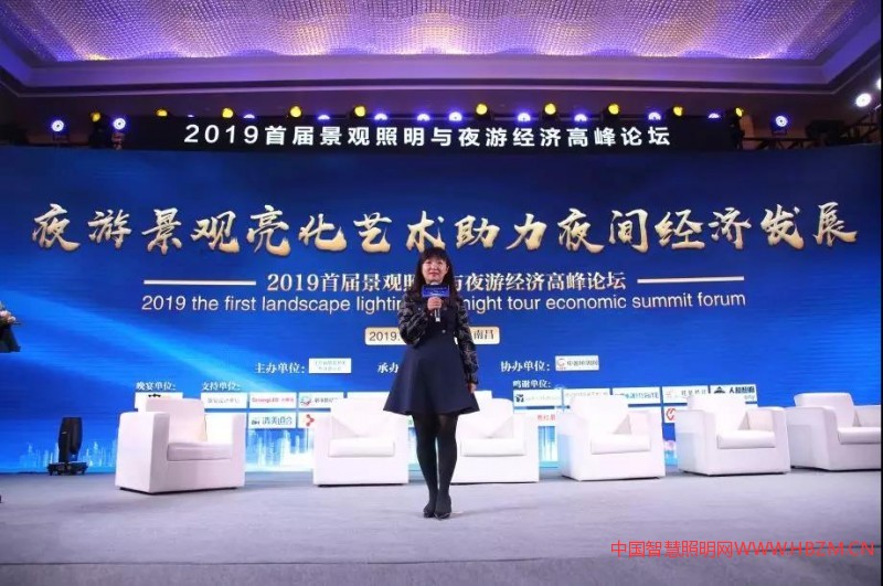 中国照明网副总经理王敏