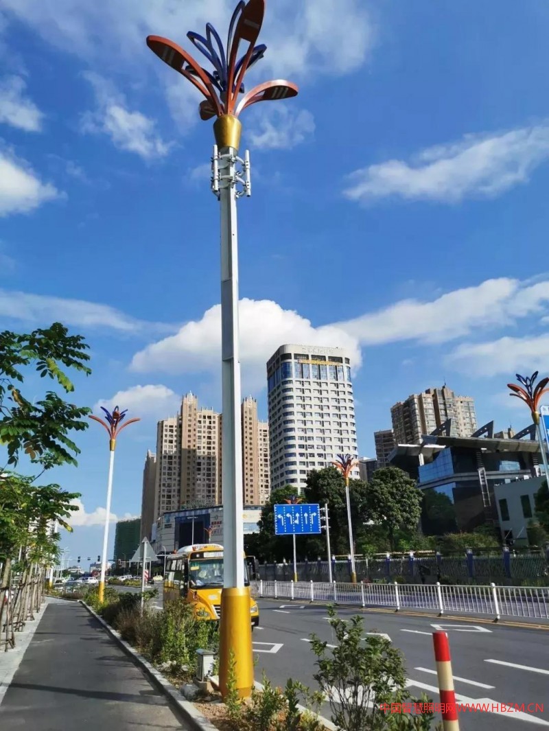 ▲新园北路的智慧灯杆
