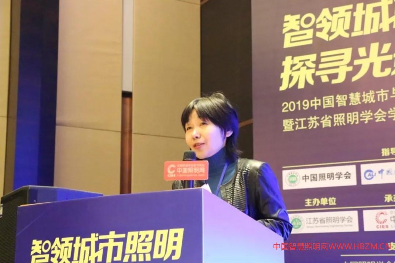 中国照明学会专职副理事长高飞