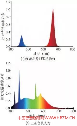 LED植物照明