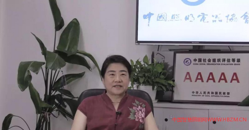 中国照明电器协会执行理事长刘升平