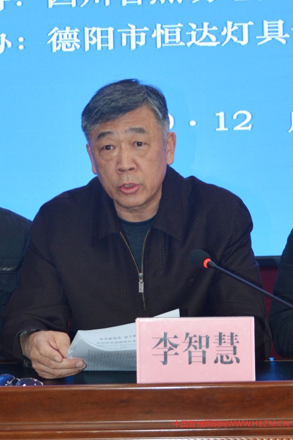 协会会长李智慧作河北省照明行业协会2019年工作报告