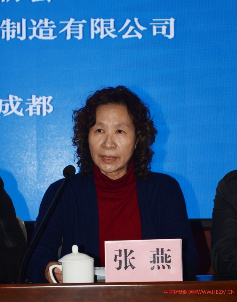 协会驻会副会长、秘书长张燕主持会议