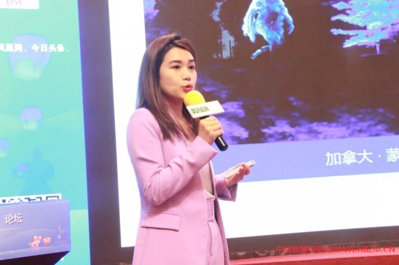 夜游经济与景观照明-中国文旅夜游(佛山)论坛成功召开!