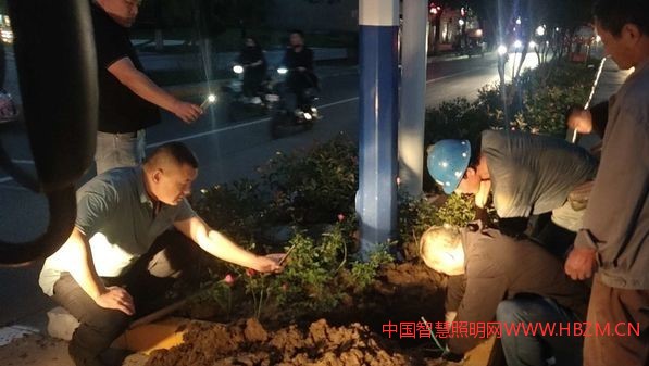 检修路灯 为国庆添彩