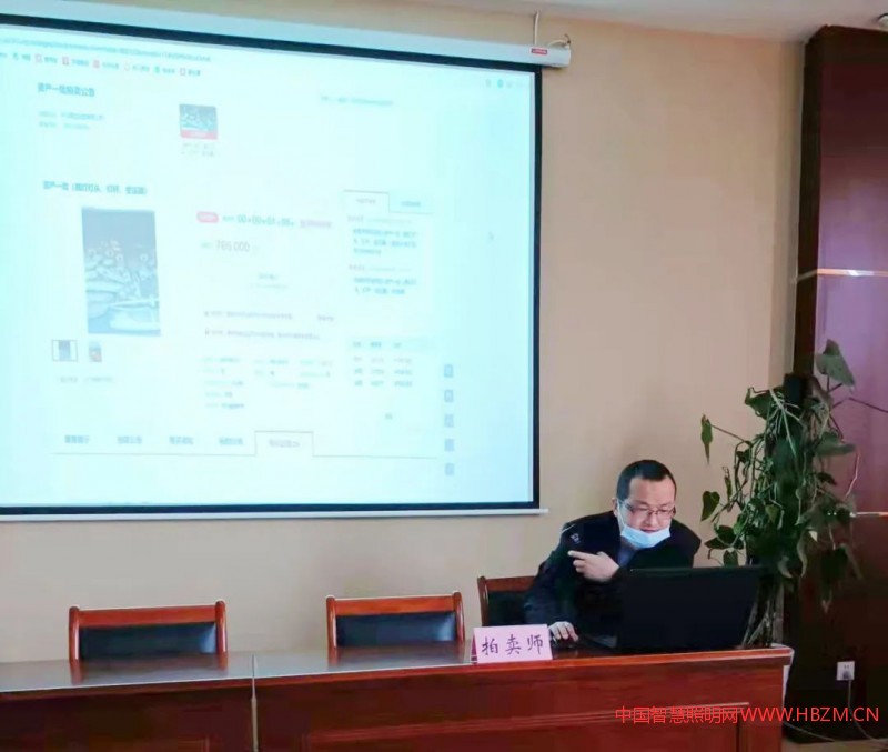 闲置路灯照明设备进行拍卖