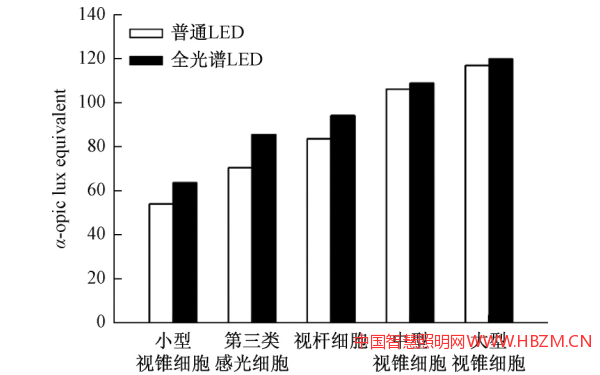 视网膜感光器接受的刺激